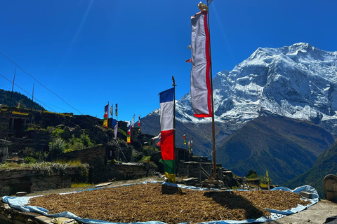 Trekking wokół Annapurny – 14 dni