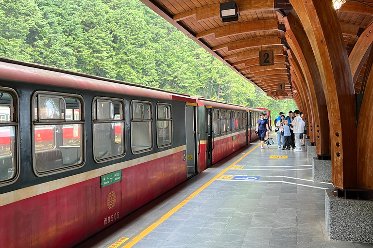 Alishan Forest Day Trip from Taichung, Kaohsiung or Chiayi Join-in Tour from Kaohsiung