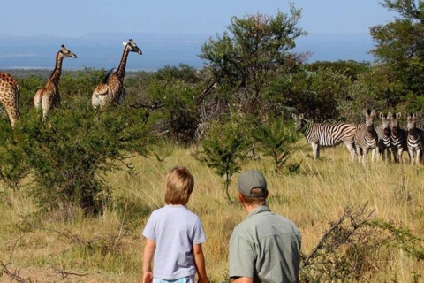 Excursión de un día completo al Parque de los Humedales de Isimangaliso desde Durban