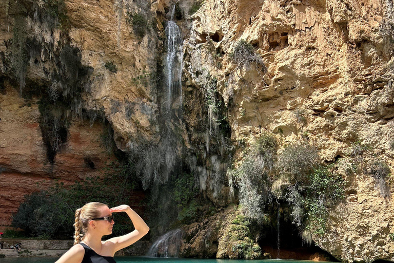 Från Valencia: Vinprovning och besök i Cueva de Turche