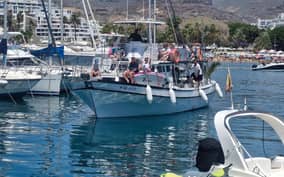 - Canarie.it