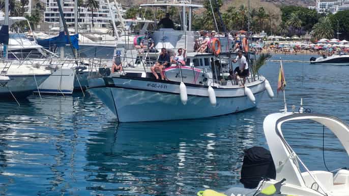 Puerto Rico,Gran Canaria:excursion en barco bebida comida padelsurf snorkel