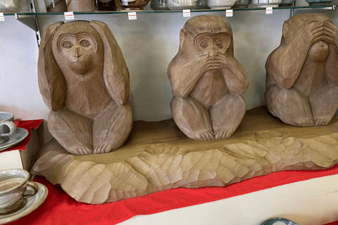 Tokyo: Tour privato di un giorno di Nikko, Patrimonio dell&#039;Umanità dell&#039;Unesco, e prelievo di campioni