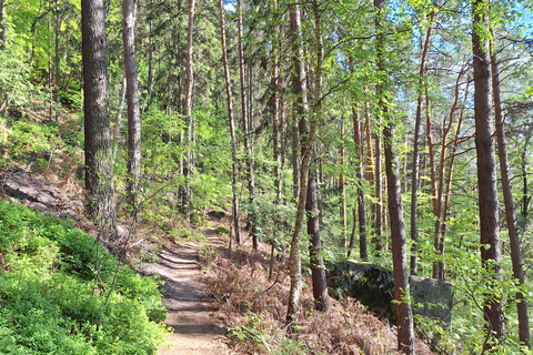 Dresden - Saxon Switzerland: Hiking Trip with a Certified Guide Dresden - Saxon Switzerland: Hiking Tour with a Certified Guide