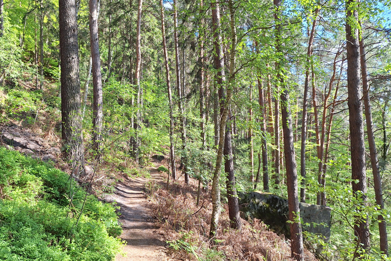 Dresden - Saxon Switzerland: Hiking Trip with a Certified Guide Dresden - Saxon Switzerland: Hiking Tour with a Certified Guide