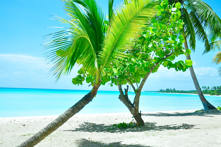 Punta Cana: Saona Island Tour with Lunch and Drinks