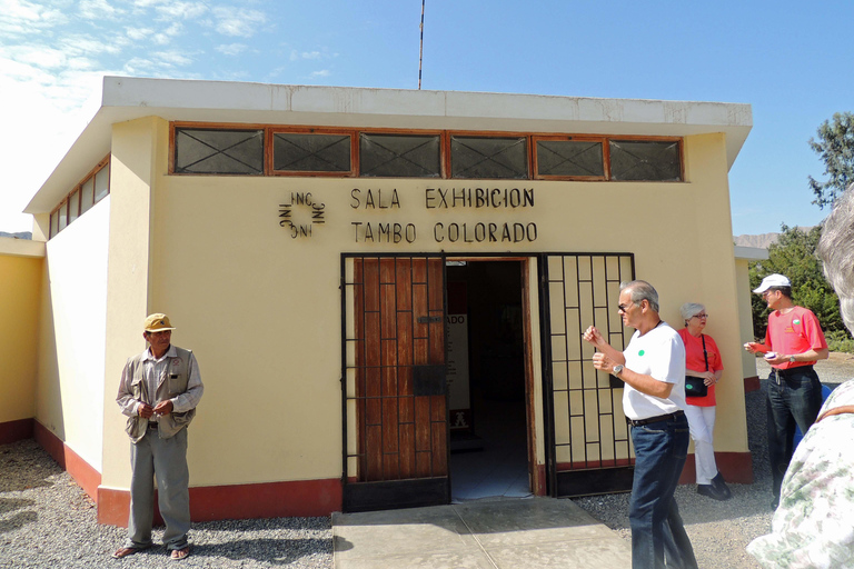 From Paracas: Tambo Colorado Inca Complex Tour
