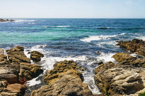 San Francisco: Monterey and Carmel Day Trip w/ 17-Mile Drive From San Francisco: Monterey and Carmel Day Tour