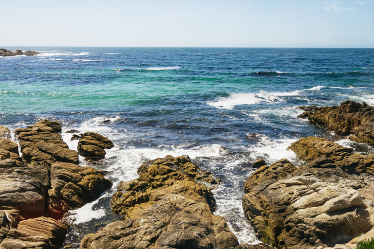 San Francisco: Monterey and Carmel Day Trip w/ 17-Mile Drive From San Francisco: Monterey and Carmel Day Tour