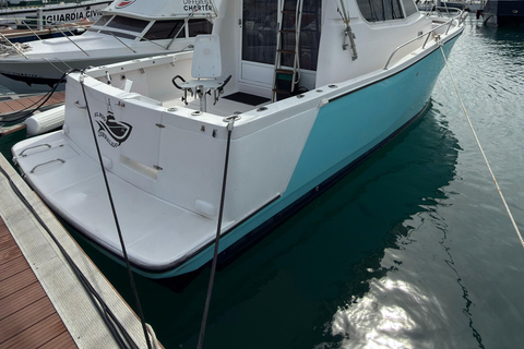 Corralejo: Atlantic Sport Fishing Charter Corralejo: Shared Deep Sea Fishing Charter on the Atlantic