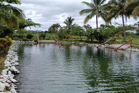 NADI: Garden Of Sleeping Giant & Tifajek Mudpool & Hotspring Shangri-La's Fijian Resort and Spa / Gecko Resort Pickup