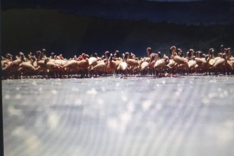 Nairobi: Lake Solai Tour in Great Rift Valley