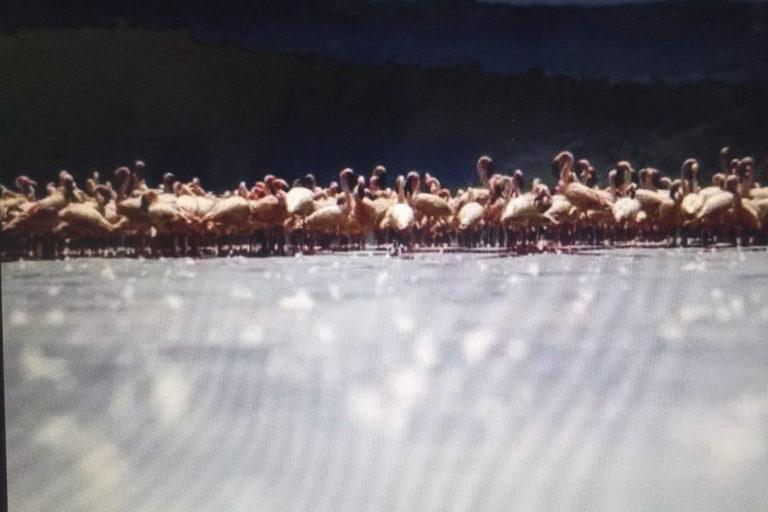 Nairobi: Lake Solai Tour in Great Rift Valley