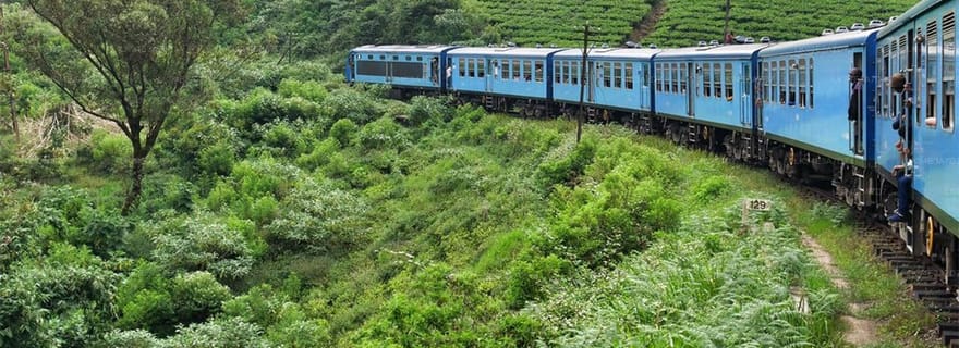 Voyage en train panoramique à Ella : billets électroniques réservés depuis Ambewela
