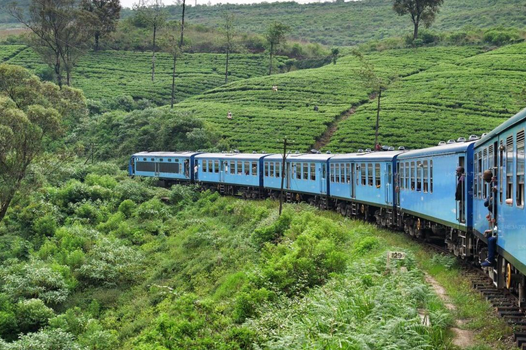 Ella Scenic Train Journey: Reserved E Tickets from Ambewela Ambewela: Ella Scenic Train E-Ticket in 1st 2nd Class Cabin