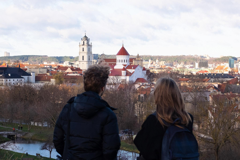 Vilnius: Privé stadsrondleiding van een halve dag met een minibusje