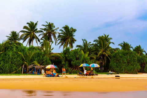 Maravilhas costeiras de Mirissa