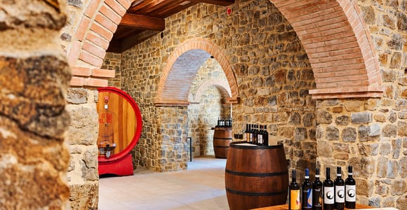 Montalcino: Visit to SassodiSole with Tasting
