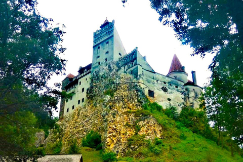 Z Bukaresztu: jednodniowa wycieczka do zamku Drakuli i sanktuarium niedźwiedzi