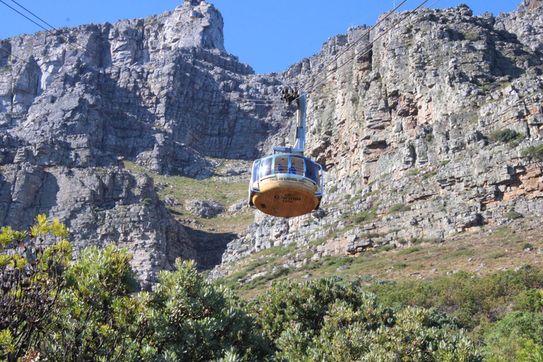 Cape Town: Table Mountain, Bo-Kaap, & Boulders Beach Tour