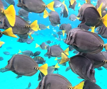 Puerto Baquerizo Moreno: 360 San Cristobal Island Day Tour