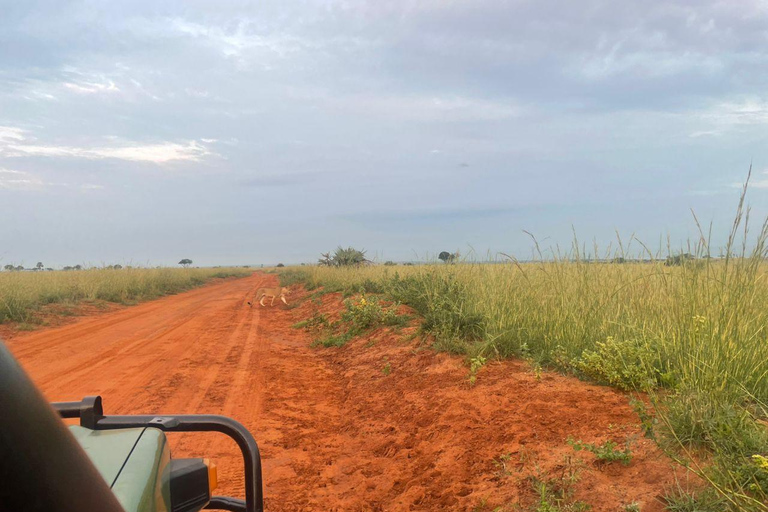 Uganda: 3-Day Murchison Falls & Kibale Chimpanzee Trekking