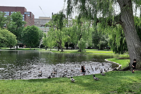 Een reis door de tijd: een wandeltour door BostonHoogtepunten van Boston: een privétour door Boston in het Frans