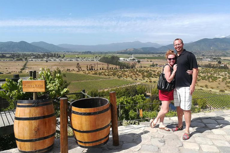 Degustazione di vini a Casablanca - 4 cantine e pranzo a TaninoCasablanca con degustazione in 3 cantine e pranzo a Tanino