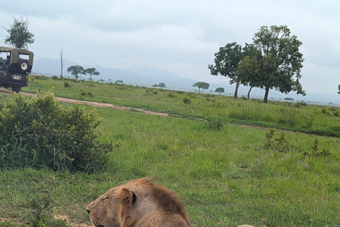 Arusha: 4 giorni di safari nel Serengeti e nel cratere Ngorongoro