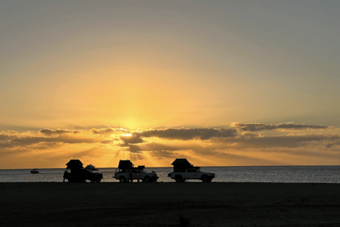 拉巴斯：浪漫的沙漠冒险浪漫沙漠探险 - 在卡波沙漠露营