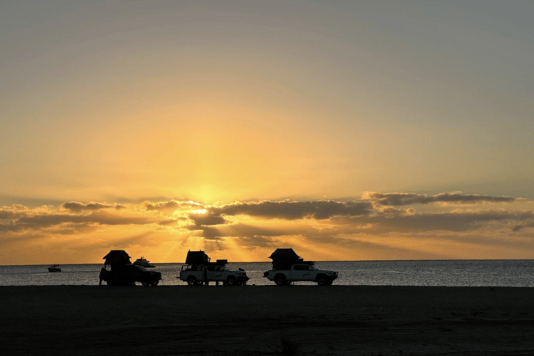 拉巴斯：浪漫的沙漠冒险浪漫沙漠探险 - 在卡波沙漠露营