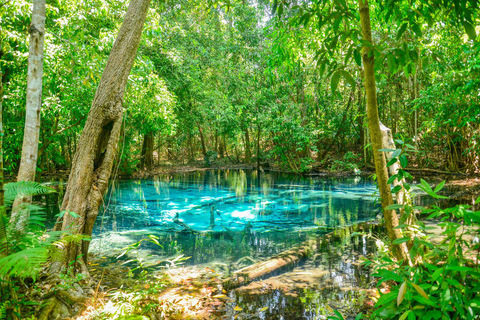 Krabi Private Escape: Emerald Pool, Hot Springs & Tiger Cave Private Van