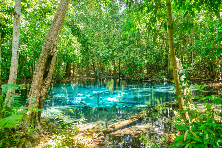 Escapade privée à Krabi : Piscine d'émeraude, sources d'eau chaude et grotte du tigreFourgon privé