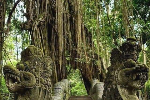 Tour privato della foresta delle scimmie di Ubud, dei campi di riso e dell&#039;altalena feliceTour privato di Ubud (biglietto d&#039;ingresso non incluso)