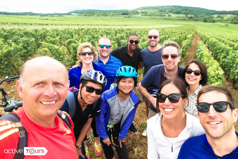 Beaune: Winery Tour by Bike with Wine Tasting