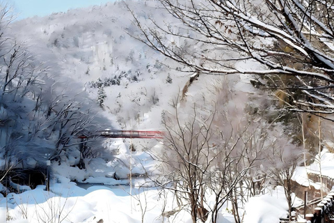 Sopporo: Hokkaido Shrine and Atama Daibutsu Full-Day Tour