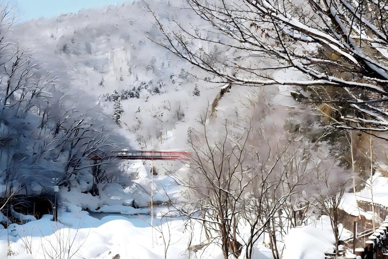 Sopporo: Hokkaido Shrine and Atama Daibutsu Full-Day Tour