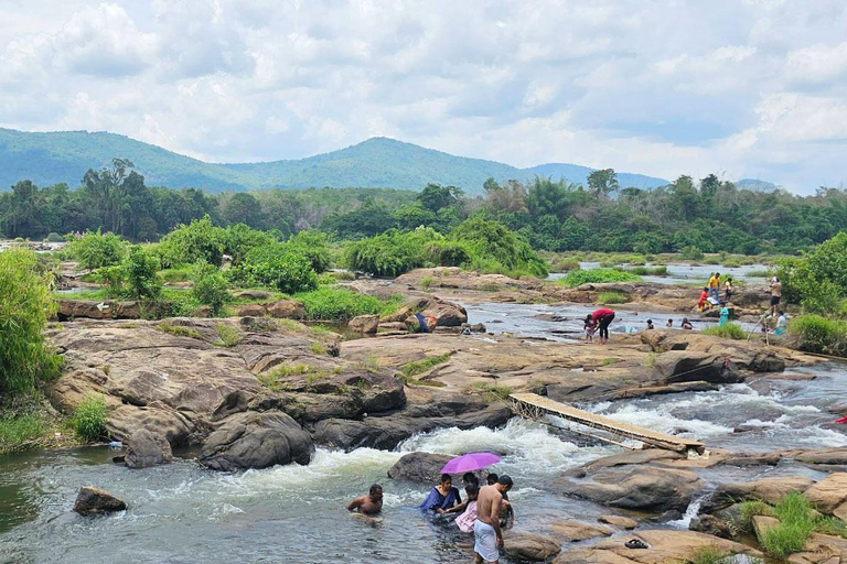 Cochin Adventure Tour: Islands, Birds & Hilltop Views