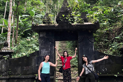 Yogyakarta: Borobudur Climb Up & Selogriyo Rice Terrace Tour