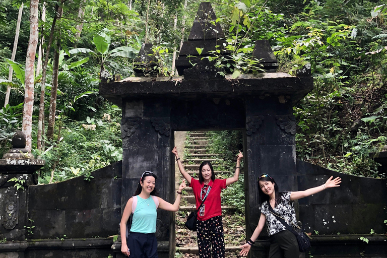 Yogyakarta: Borobudur Climb Up & Selogriyo Rice Terrace Tour