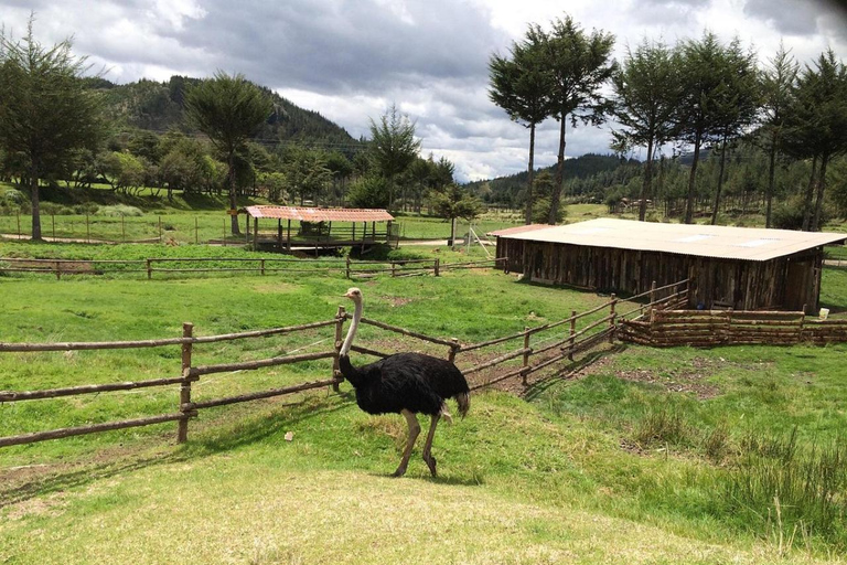 Cajamarca | Aventuras en la Granja de Porcón y Otuzco |