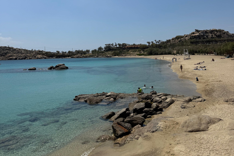 Mykonos: Private Tour by Luxury Van