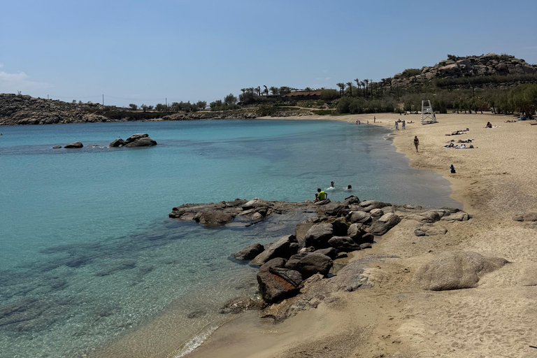 Mykonos: Private Tour by Luxury Van