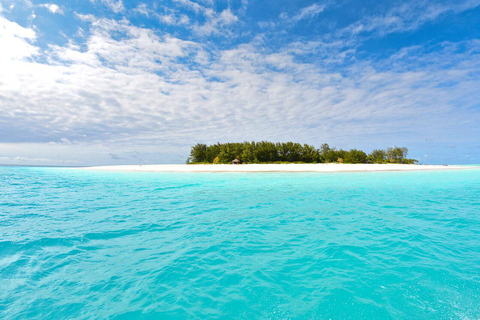 Île de Mnemba : Observation des Dauphins en Hors-bord et SnorkelingÎle de Mnemba : observation des dauphins en hors-bord et plongée en apnée