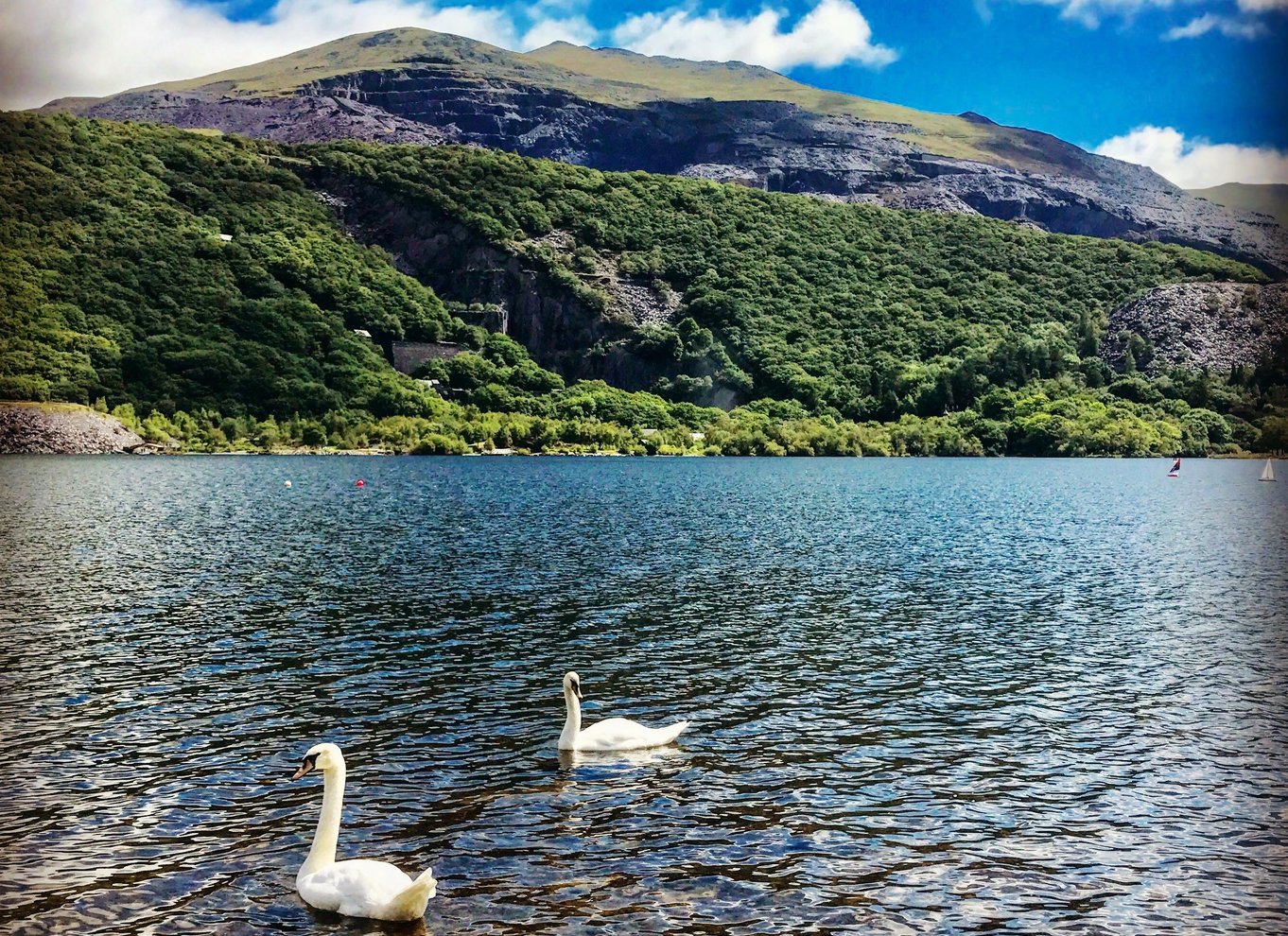 Fra Llandudno: Snowdonia og de tre slotte dagsudflugt