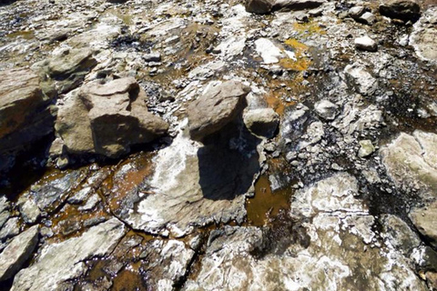 Nairobi: Lake Bogoria Flamingos Day Trip with Hotel Pickup