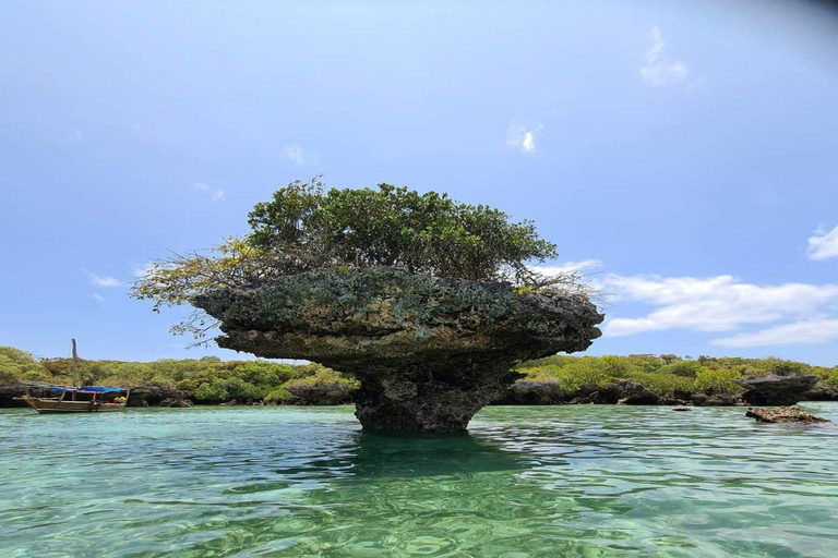 Sansibar: Safari Blue Ganztagestour mit Mittagessen