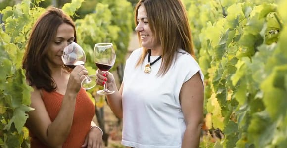 Nahe Málaga: Bio-Weinberg Mijas, 5 Weine, 2 Öle & Tapas