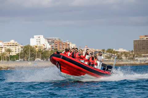 Palma de Mallorca: Sightseeing Speedboat Tour with Pickup Standard Seats