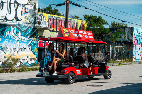 Miami : Wynwood Walls Entry and Neighborhood Buggy Experience (Entrée dans les murs de Wynwood et expérience de buggy dans le quartier)